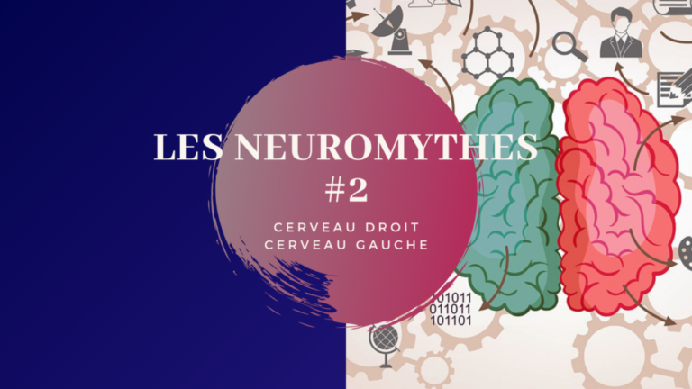 Neurosciences | Faire tomber les neuro mythes : Cerveau droit & cerveau gauche | EPISODE 2