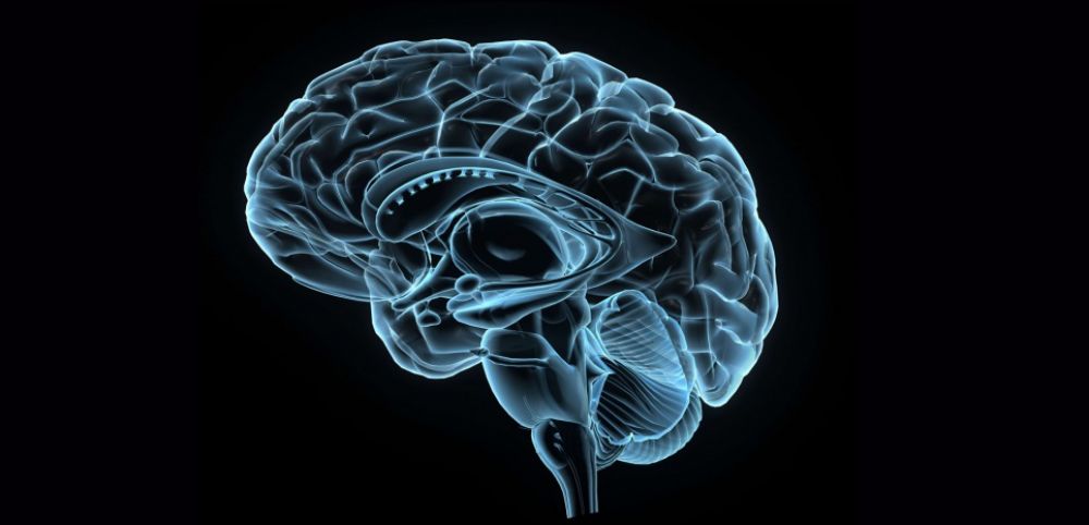 You are currently viewing Approche neuroscientifique de la mindfulness – Quels impacts de la méditation sur votre cerveau ?