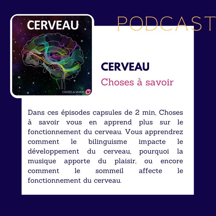 carrousel recommandations dete p5 qwbll06ye1sizcenzqt44obnp7m7a70dc6s07llv88